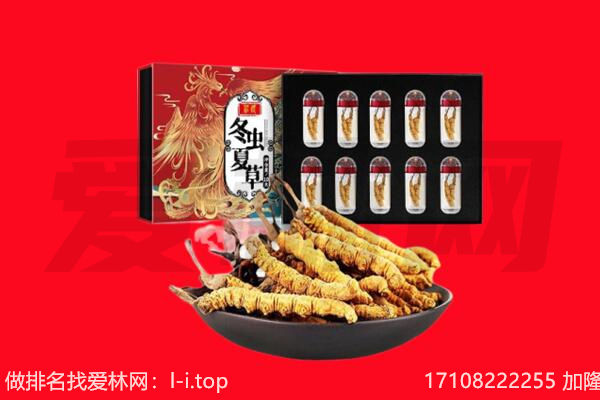 毕节金沙县回收虫草.jpg